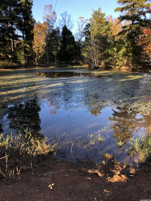104 Casner Rd, Dennard, AR 72629 photo 2