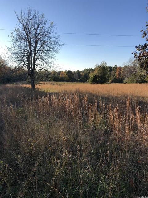 104 Casner Rd, Dennard, AR 72629 photo 9