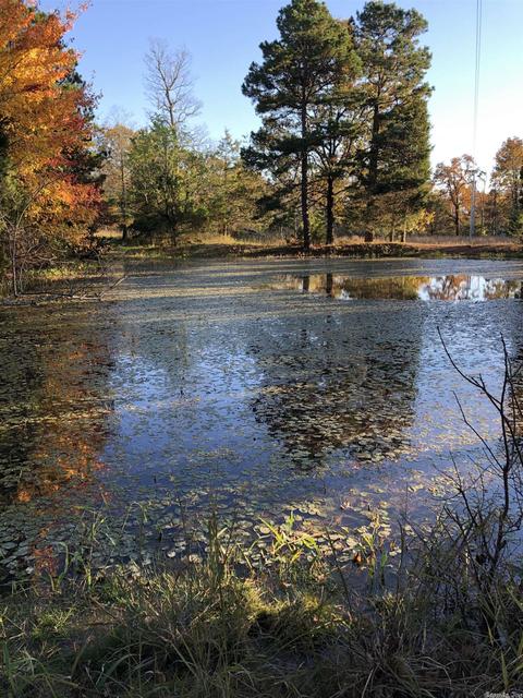 104 Casner Rd, Dennard, AR 72629 photo 7