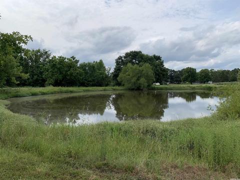 26 Mary Nell, Conway, AR 72032 photo 3