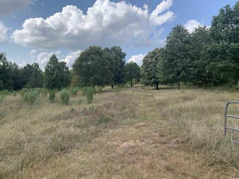 521 Natalie, Jefferson, AR 72079 photo 5