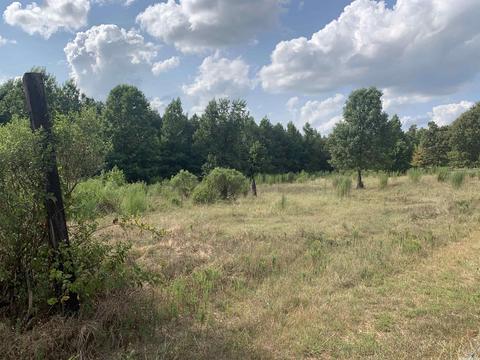 521 Natalie, Jefferson, AR 72079 photo 4