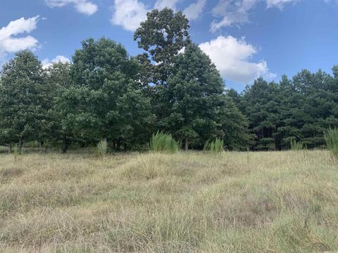521 Natalie, Jefferson, AR 72079 photo 6