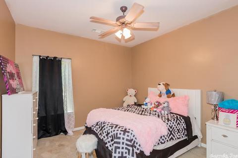 141 Silver Springs Dr, Haskell, AR 72015 photo 21