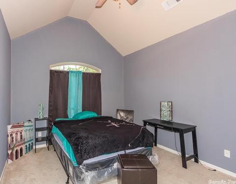 141 Silver Springs Dr, Haskell, AR 72015 photo 25
