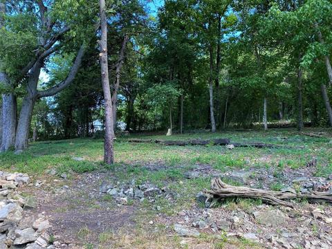 307 3rd St, Norfork, AR 72658 photo 13