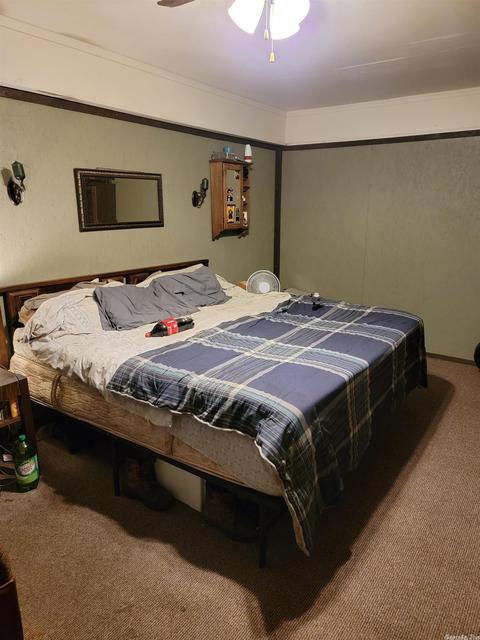213 Delta Ave, Trumann, AR 72472 photo 8