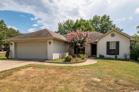 2903 Percy Cir, Conway, AR 72034 photo 23