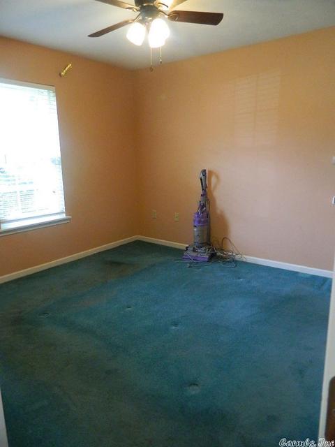 1270 Stratus, Conway, AR 72034 photo 26