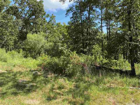 4599 Brewer Rd, Edgemont, AR 72044 photo 21