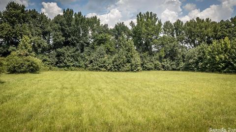 115 Apple Blossom Ln, Beebe, AR 72012 photo 8