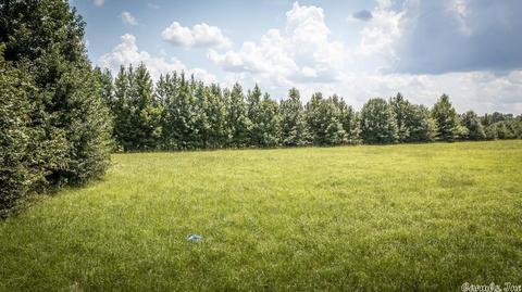 115 Apple Blossom Ln, Beebe, AR 72012 photo 6