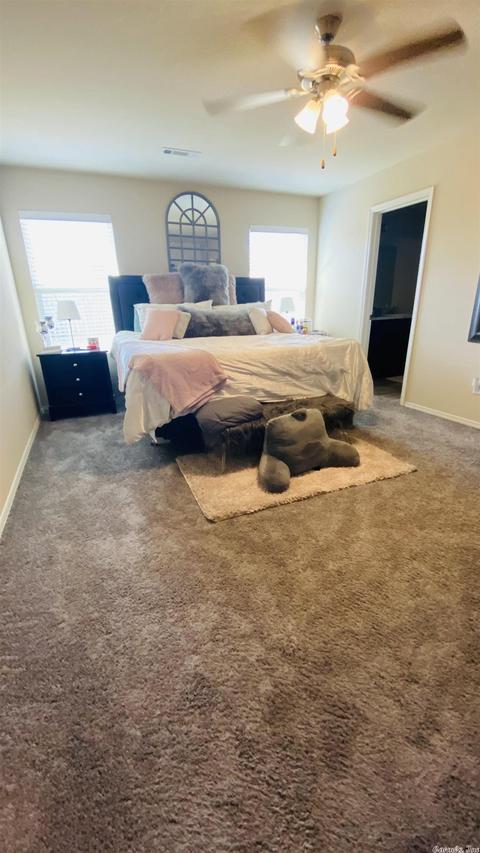 14709 Skyline Dr, Alexander, AR 72002 photo 9