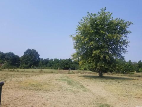 50 Herring Ln, Conway, AR 72032 photo 1
