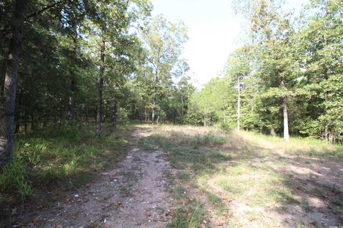 1178 Brookhaven Ct, Alexander, AR 72002 photo 6
