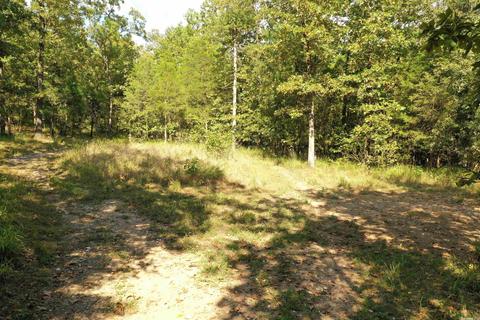 1178 Brookhaven Ct, Alexander, AR 72002 photo 9