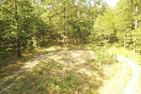1178 Brookhaven Ct, Alexander, AR 72002 photo 10