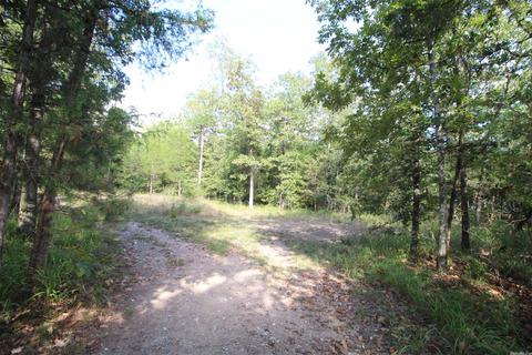 1178 Brookhaven Ct, Alexander, AR 72002 photo 5