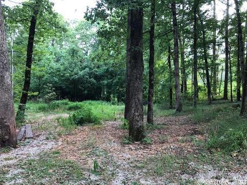 49 Broken Rock Mountain Rd, Mount Ida, AR 71957 photo 9