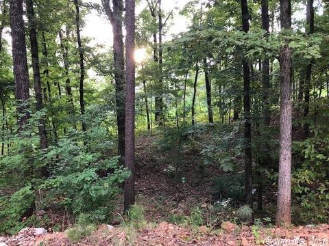 49 Broken Rock Mountain Rd, Mount Ida, AR 71957 photo 10