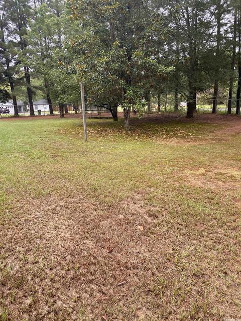 135 Eve Ln, Conway, AR 72032 photo 13