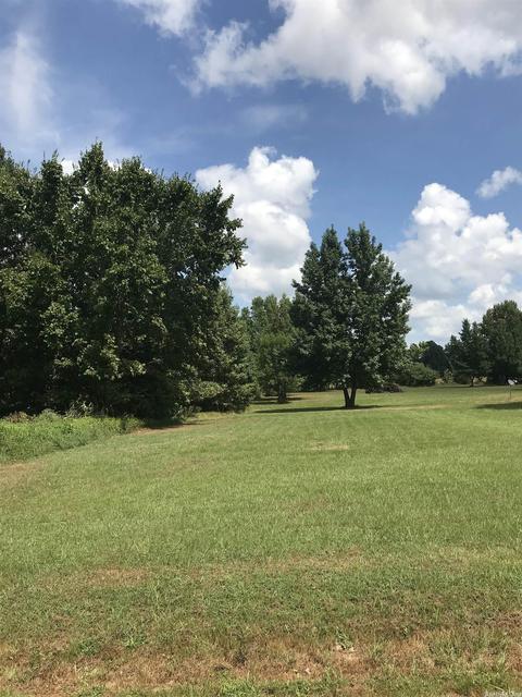 264 Jc Rd, Lonoke, AR 72086 photo 13