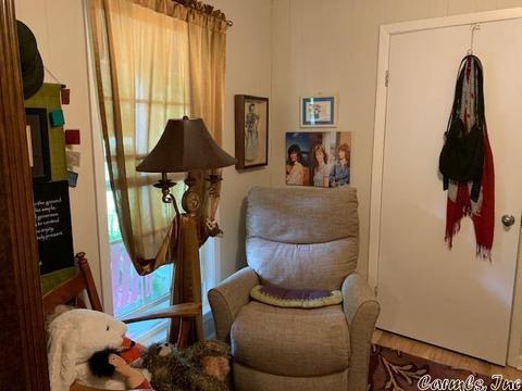 235 N Riverview Ln, Mountain View, AR 72560 photo 17