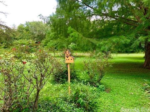 235 N Riverview Ln, Mountain View, AR 72560 photo 34