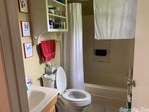 235 N Riverview Ln, Mountain View, AR 72560 photo 15