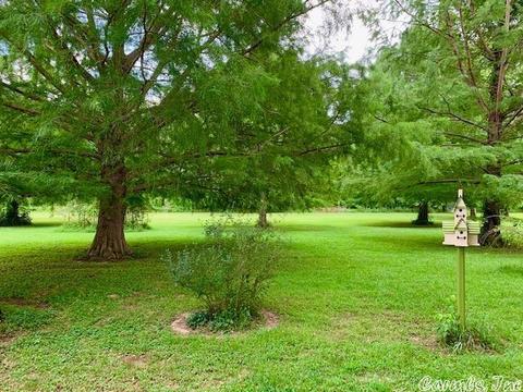 235 N Riverview Ln, Mountain View, AR 72560 photo 35