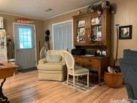 235 N Riverview Ln, Mountain View, AR 72560 photo 20