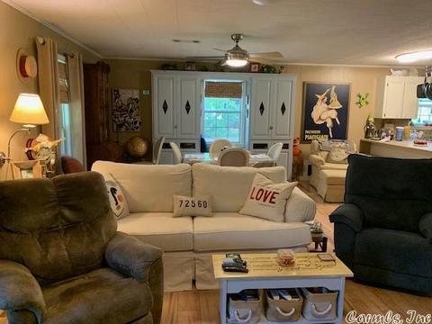 235 N Riverview Ln, Mountain View, AR 72560 photo 12