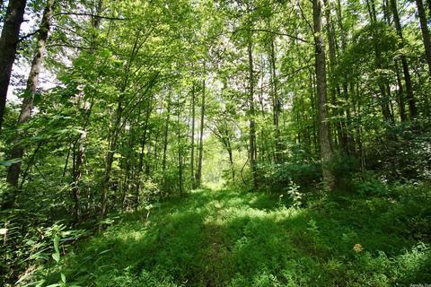 795 Madison 4384, Combs, AR 72721 photo 32