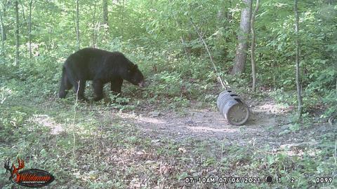795 Madison 4384, Combs, AR 72721 photo 27