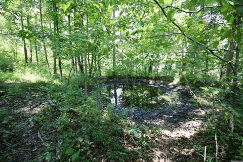 795 Madison 4384, Combs, AR 72721 photo 23