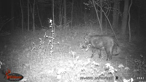 795 Madison 4384, Combs, AR 72721 photo 28
