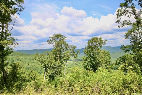 795 Madison 4384, Combs, AR 72721 photo 2