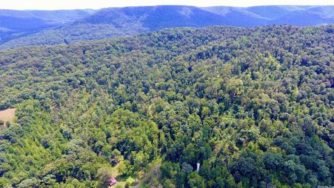 795 Madison 4384, Combs, AR 72721 photo 36