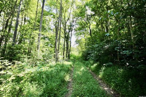 795 Madison 4384, Combs, AR 72721 photo 19