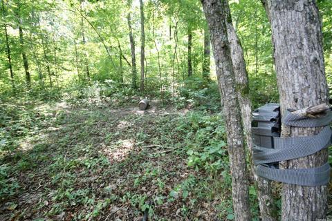 795 Madison 4384, Combs, AR 72721 photo 24