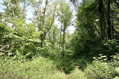 795 Madison 4384, Combs, AR 72721 photo 31