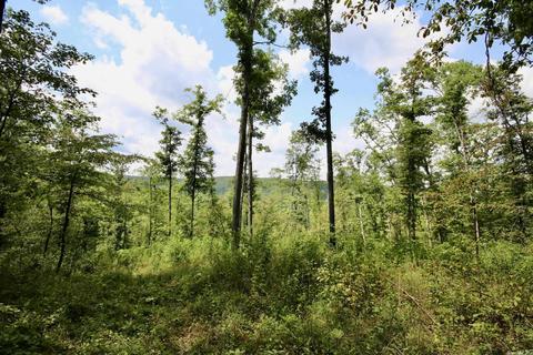 795 Madison 4384, Combs, AR 72721 photo 34
