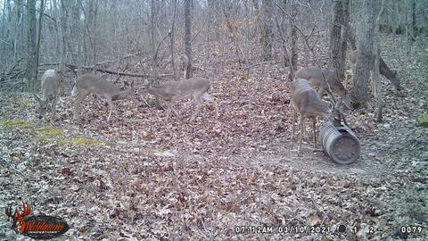795 Madison 4384, Combs, AR 72721 photo 26