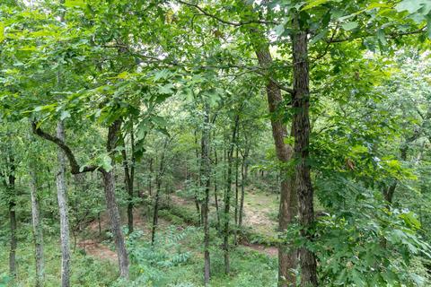 443 Blue Hole Rd, Beebe, AR 72012 photo 36