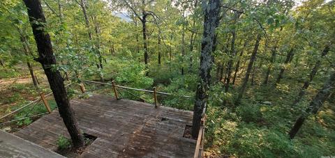 366 Star Mtn, Marshall, AR 72650 photo 10