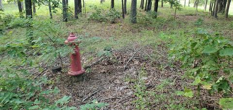 366 Star Mtn, Marshall, AR 72650 photo 30