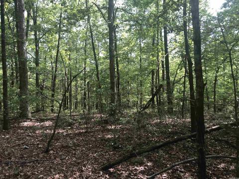 949 Low Yield Dr, Harriet, AR 72639 photo 25