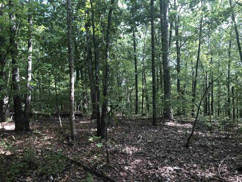 949 Low Yield Dr, Harriet, AR 72639 photo 24