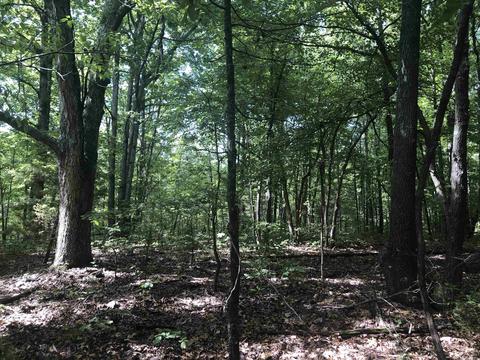 949 Low Yield Dr, Harriet, AR 72639 photo 5