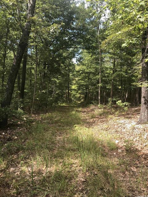 949 Low Yield Dr, Harriet, AR 72639 photo 17